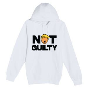 Free Trump Support Trump Trump Not Guilty Premium Pullover Hoodie