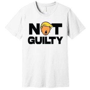 Free Trump Support Trump Trump Not Guilty Premium T-Shirt