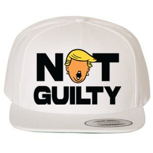 Free Trump Support Trump Trump Not Guilty Wool Snapback Cap