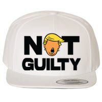 Free Trump Support Trump Trump Not Guilty Wool Snapback Cap