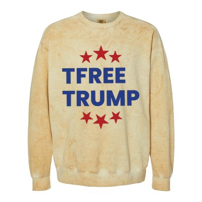 Free Trump Support Trump Trump Not Guilty Colorblast Crewneck Sweatshirt