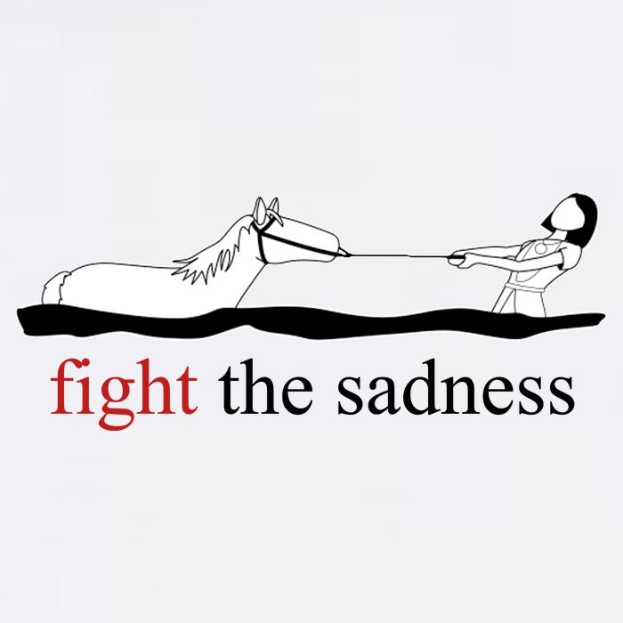 Fight The Sadness Artax Premium T-Shirt