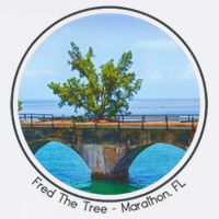 Fred The Tree Marathon Fl 7 Mile Bridge Tree Of Hope Sustainable Bucket Hat