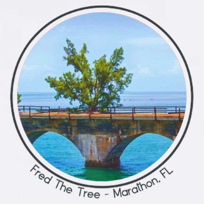 Fred The Tree Marathon Fl 7 Mile Bridge Tree Of Hope Sustainable Bucket Hat