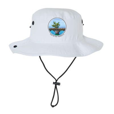 Fred The Tree Marathon Fl 7 Mile Bridge Tree Of Hope Bucket Hat