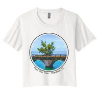Fred The Tree Marathon Fl 7 Mile Bridge Tree Of Hope Crop Top