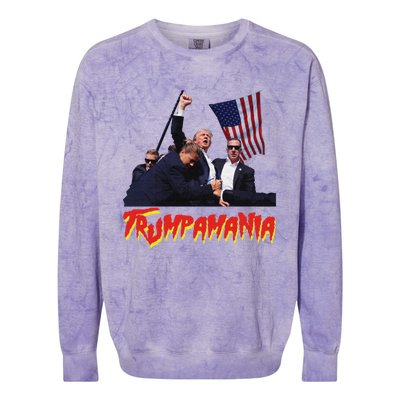 Funny Trump Trumpamania Trump Wrestling Meme Fake News Trumpamania Colorblast Crewneck Sweatshirt