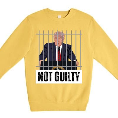 Free Trump. Trump Not Guilty, Pro Trump Supporter Premium Crewneck Sweatshirt