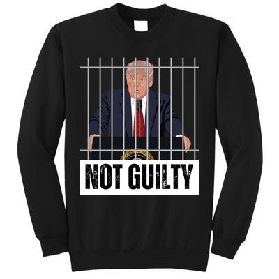 Free Trump. Trump Not Guilty, Pro Trump Supporter Sweatshirt