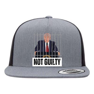 Free Trump. Trump Not Guilty, Pro Trump Supporter Flat Bill Trucker Hat