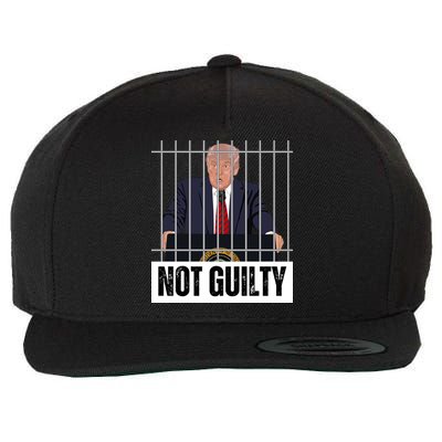 Free Trump. Trump Not Guilty, Pro Trump Supporter Wool Snapback Cap