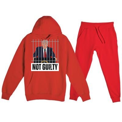 Free Trump. Trump Not Guilty, Pro Trump Supporter Premium Hooded Sweatsuit Set