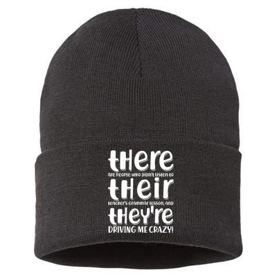 Funny There Their Theyre Grammar Lesson Sustainable Knit Beanie