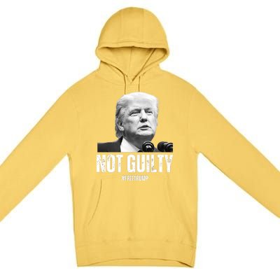 Free Trump. Trump Not Guilty, Pro Trump Supporter Premium Pullover Hoodie