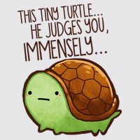 Funny This Tiny Turtle... He Judges You, Immensely. Womens Funnel Neck Pullover Hood
