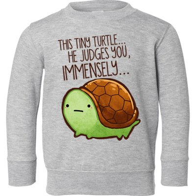 Funny This Tiny Turtle... He Judges You, Immensely. Toddler Sweatshirt