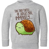 Funny This Tiny Turtle... He Judges You, Immensely. Toddler Sweatshirt