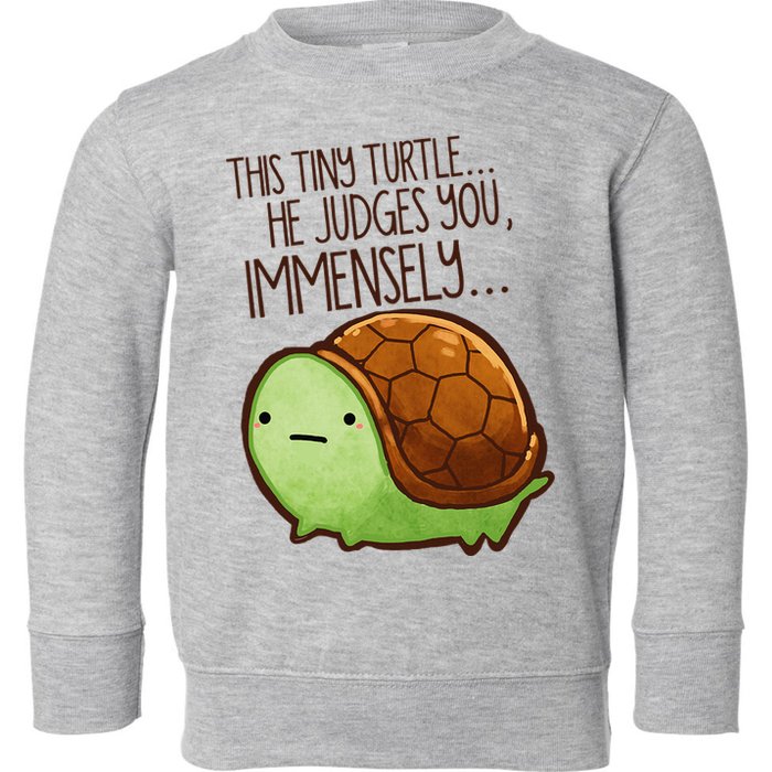 Funny This Tiny Turtle... He Judges You, Immensely. Toddler Sweatshirt