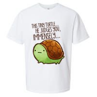 Funny This Tiny Turtle... He Judges You, Immensely. Sueded Cloud Jersey T-Shirt