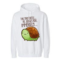 Funny This Tiny Turtle... He Judges You, Immensely. Garment-Dyed Fleece Hoodie