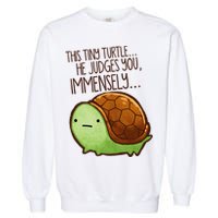Funny This Tiny Turtle... He Judges You, Immensely. Garment-Dyed Sweatshirt