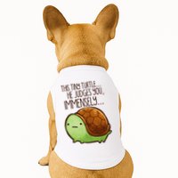 Funny This Tiny Turtle... He Judges You, Immensely. Doggie Tank