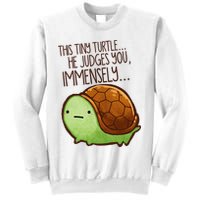 Funny This Tiny Turtle... He Judges You, Immensely. Sweatshirt