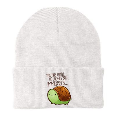 Funny This Tiny Turtle... He Judges You, Immensely. Beanie