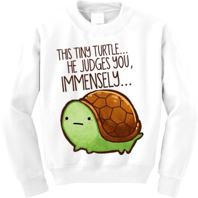 Funny This Tiny Turtle... He Judges You, Immensely. Kids Sweatshirt