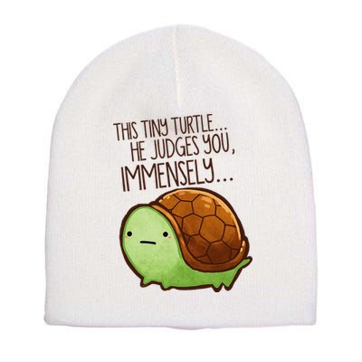 Funny This Tiny Turtle... He Judges You, Immensely. Short Acrylic Beanie