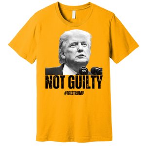 Free Trump. Trump Not Guilty, Pro Trump Supporter Premium T-Shirt