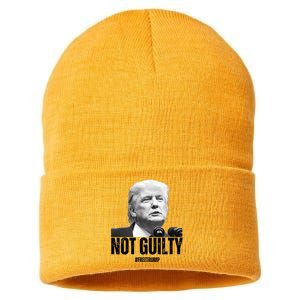 Free Trump. Trump Not Guilty, Pro Trump Supporter Sustainable Knit Beanie