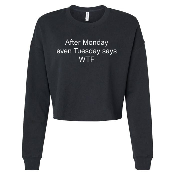 Funny T Text Ai Cropped Pullover Crew