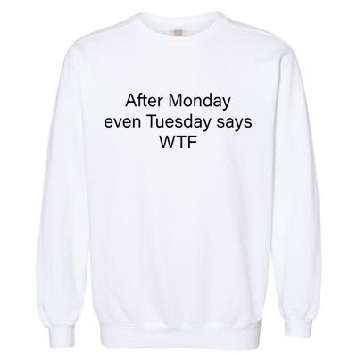 Funny T Text Ai Garment-Dyed Sweatshirt