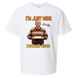 Funny Trump Thanksgiving IM Just Here For The Deviled Eggs Sueded Cloud Jersey T-Shirt