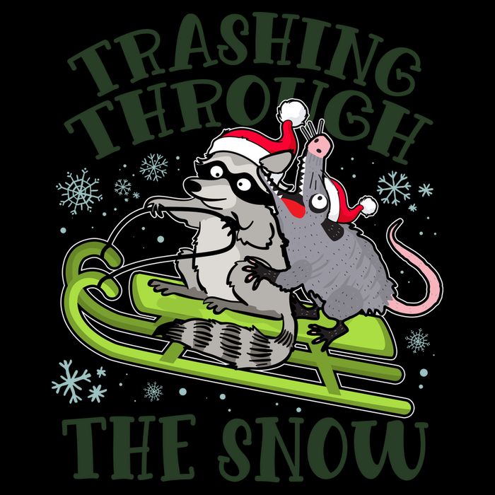 Funny Trashing Through The Snow Sleding Raccoon And Opossum Mug