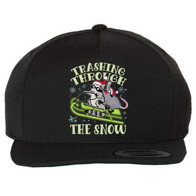 Funny Trashing Through The Snow Sleding Raccoon And Opossum Wool Snapback Cap