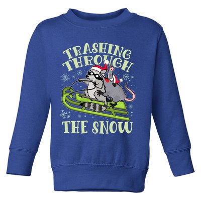 Funny Trashing Through The Snow Sleding Raccoon And Opossum Toddler Sweatshirt