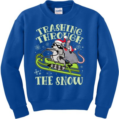 Funny Trashing Through The Snow Sleding Raccoon And Opossum Kids Sweatshirt