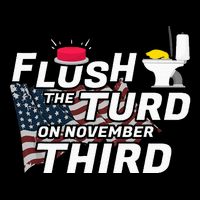 Flush The Turd On November Third Anti Trump Flatbill Hat