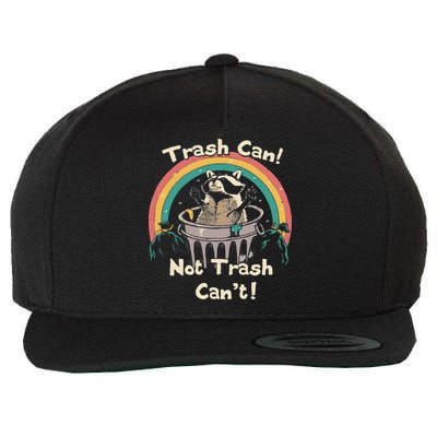 Funny Trash Talker Trash Can Not Trash Cant Wool Snapback Cap