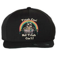 Funny Trash Talker Trash Can Not Trash Cant Wool Snapback Cap