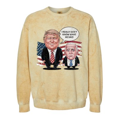 Funny Trump Vs Biden I Really DonT Know What He Said Colorblast Crewneck Sweatshirt