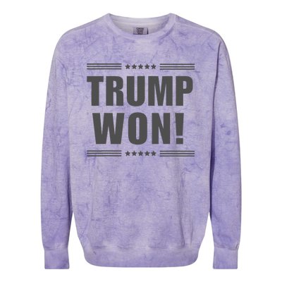 Funny! Trump Won! I Told You Trump Would Win! Trump Won Colorblast Crewneck Sweatshirt