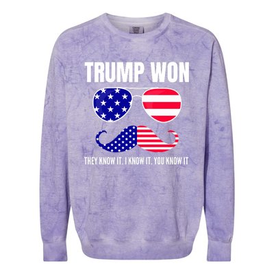 Funny Trump Won Election They Know It I Know It You Know It Colorblast Crewneck Sweatshirt