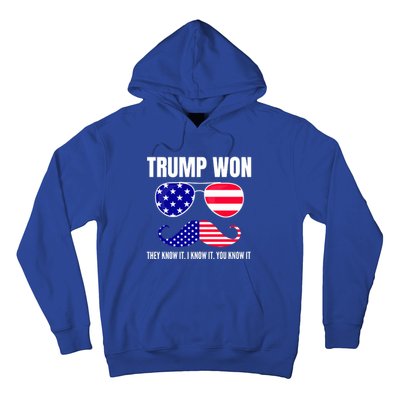 Funny Trump Won Election They Know It I Know It You Know It Hoodie