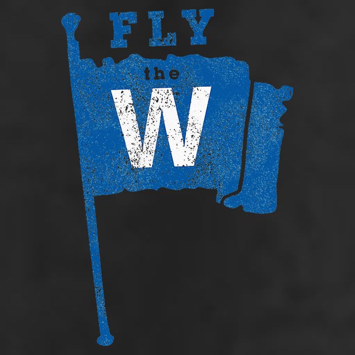 Fly The W Chicago Baseball Winning Flag Beanie