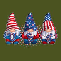 Funny USA American Flag 4th Of July Gnomes T-Shirt