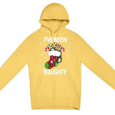 Funny Ugly Couples Christmas IVe Been Naughty Gift Premium Pullover Hoodie