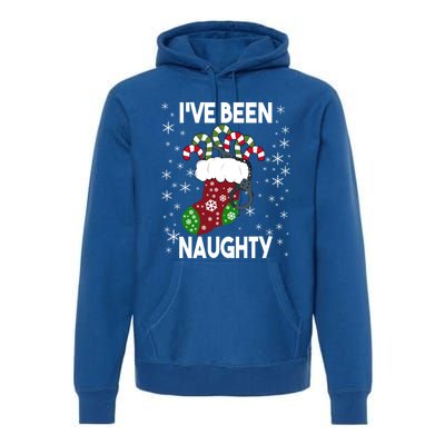 Funny Ugly Couples Christmas IVe Been Naughty Gift Premium Hoodie